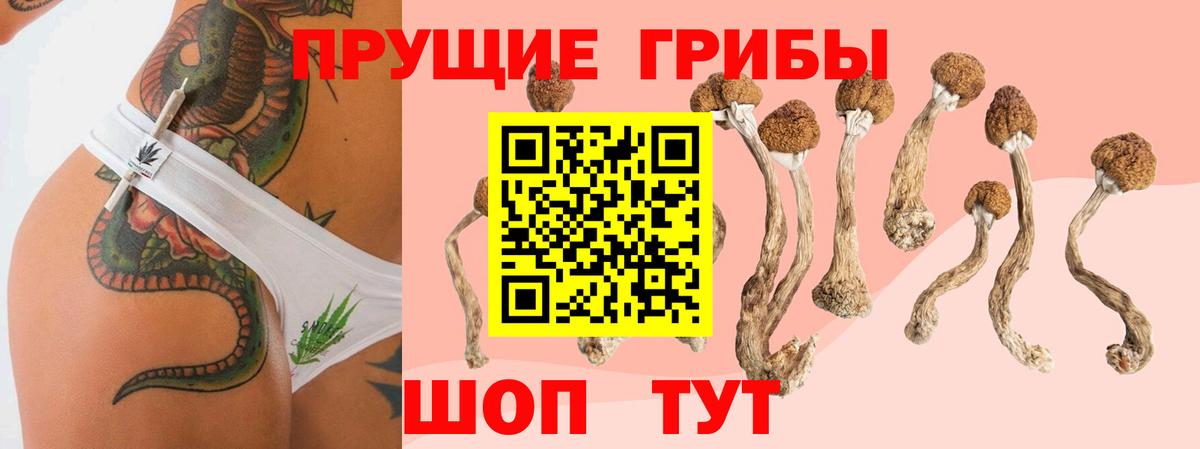 Псилоцибиновые грибы Psilocybe  Вход с VPN  купить наркоту  Златоуст 